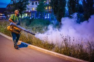 Read more about the article Dezinsecţie, MARŢI seara, în municipiul Hunedoara