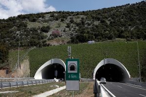 Read more about the article Tunelurile pentru urşi- construite de o firmă românească