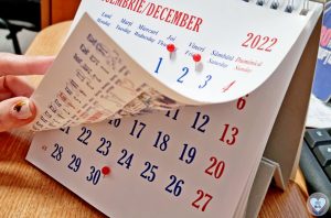 Read more about the article <strong>DAS Deva: Program special în minivacanța de 1 Decembrie</strong>