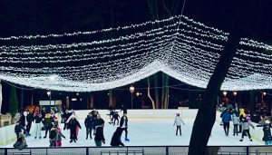 Read more about the article Acces gratuit la Patinoarul din Deva pentru copiii din județul Hunedoara!