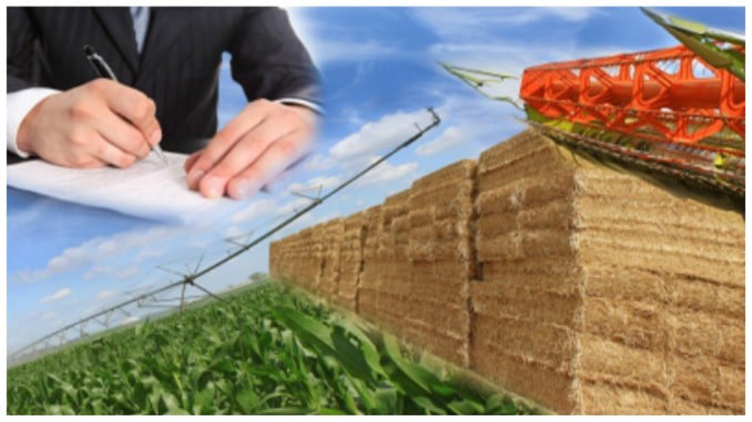 Read more about the article În atenția deținătorilor/utilizatorilor de bunuri care fac obiectul înscrierii în registrul agricol!