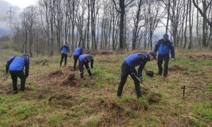 Read more about the article Campania „173 de stejari pentru România”