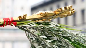 Read more about the article Duminica Floriilor – Intrarea Domnului în Ierusalim