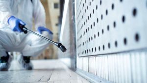 Read more about the article Servicii de deratizare, dezinsecție și dezinfecție pentru imobilele DAS Deva