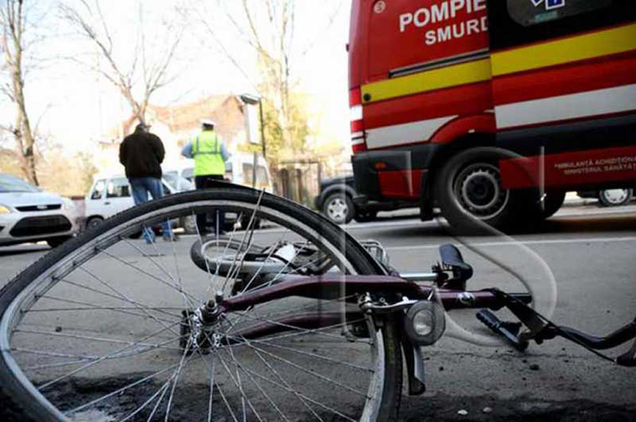 Read more about the article O căprioară a provocat un accident de circulaţie la Rapoltu Mare. O femeie a ajuns la spital