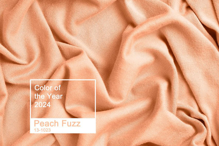 Read more about the article Culoarea anului 2024: Peach Fuzz