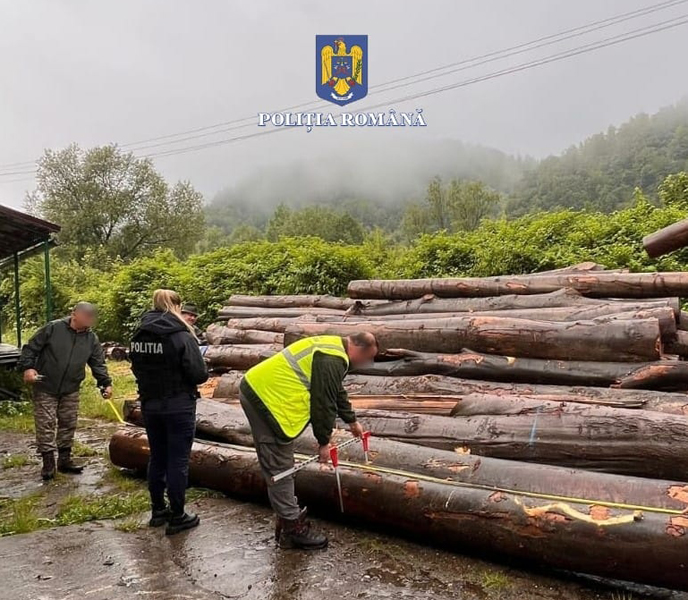 Read more about the article Amenzi usturătoare pentru operatori economici din trei comune hunedorene pentru exploatare şi depozitare ilegală de material lemnos