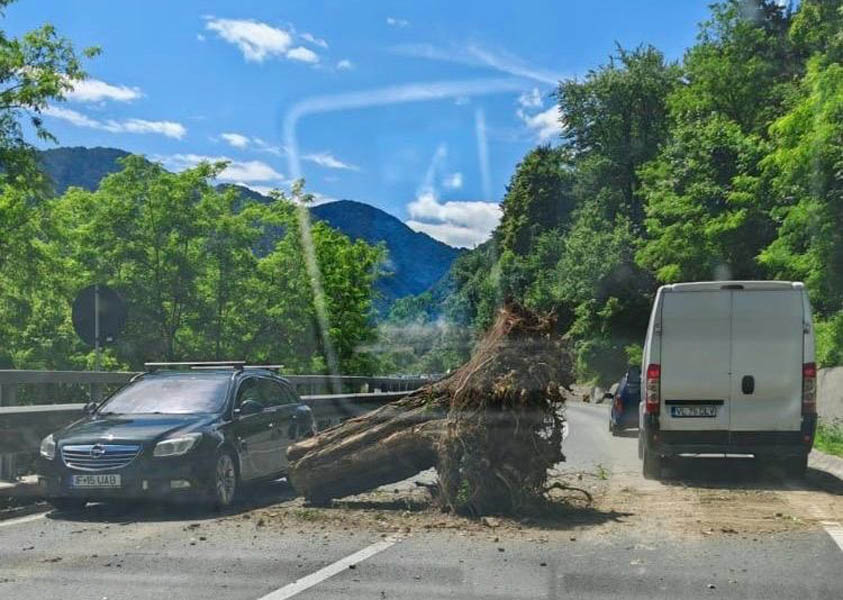 Read more about the article Rutele ocolitoare ale Văii Oltului (DN7) în perioada defrișării versantului!
