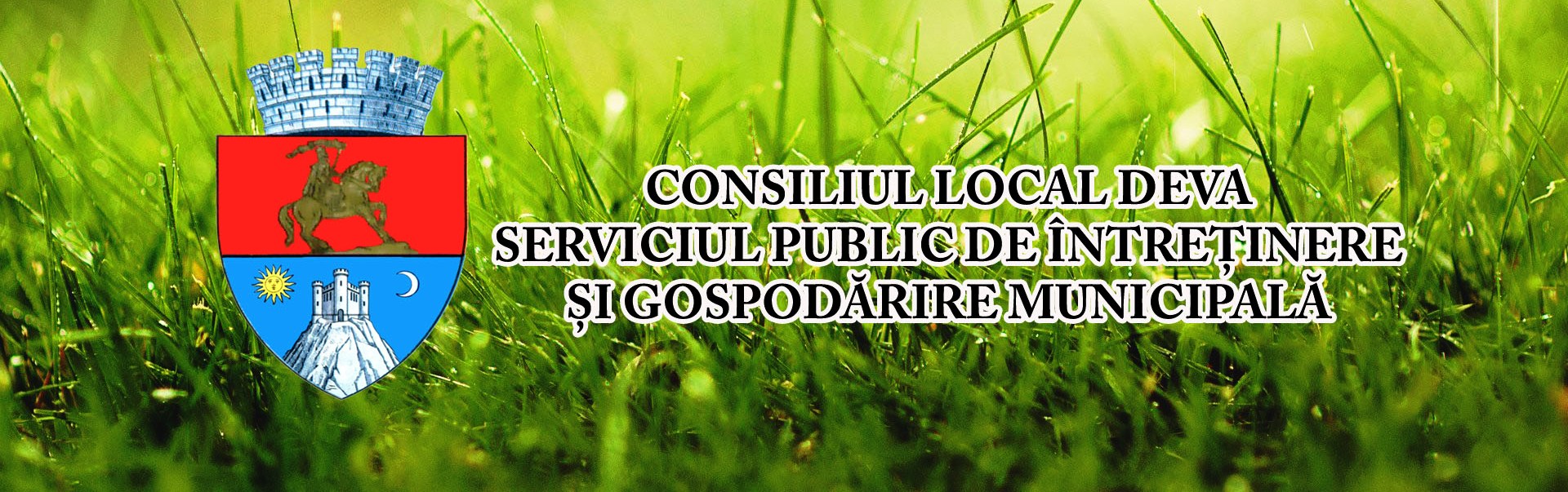 Read more about the article Serviciul Public de Întreţinere şi Gospodărie Municipală Deva: Canale de comunicare pentru locuitorii din Deva: prin WhatsApp, e-mail sau la sediul SPIGM