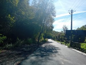 Read more about the article CJ Arad valorifică masa lemnoasă rezultată din lucrările de modernizare a DJ 707 Petriș – Limită județ Hunedoara – „Drumul Regelui”