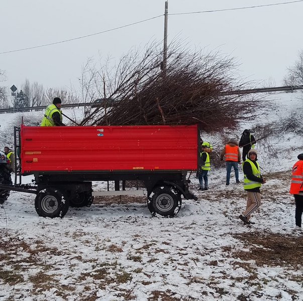 Read more about the article Beneficiarii de ajutor de incluziune de la Deva, implicați în activități pentru comunitate