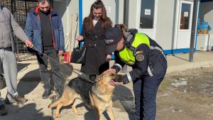 Read more about the article O cățelușă pierdută în Ajunul Crăciunului, regăsită după mai bine de o lună de căutări