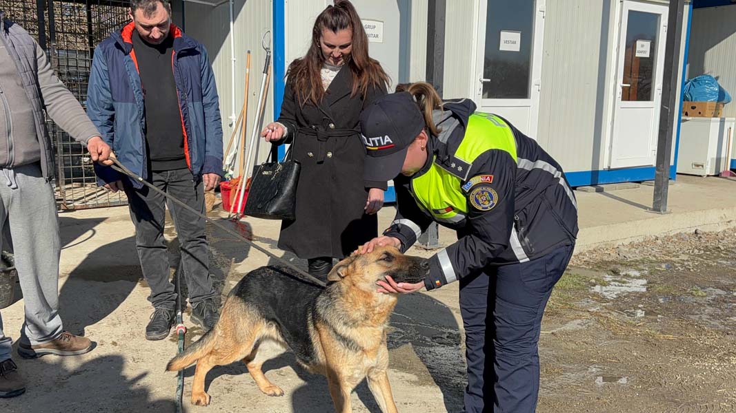 Read more about the article O cățelușă pierdută în Ajunul Crăciunului, regăsită după mai bine de o lună de căutări