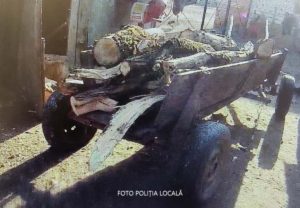 Read more about the article Furt de lemne: Poliția Locală Deva acționează prompt