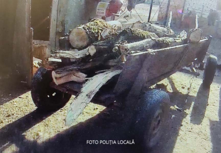 Read more about the article Furt de lemne: Poliția Locală Deva acționează prompt