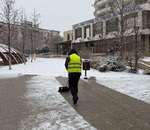 Read more about the article SPIGM Deva păstrează parcurile accesibile și sigure pentru comunitate