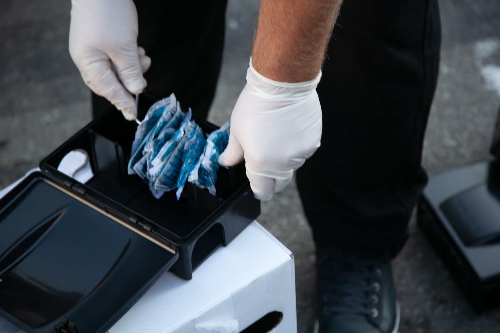 Read more about the article Anunț important: Se ridică și se igienizează stațiile de intoxicare a rozătoarelor, aflate pe raza municipiului Deva