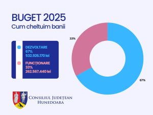 Read more about the article Bugetul Județului Hunedoara pentru 2025, votat în unanimitate! Peste două treimi din fonduri merg la „Dezvoltare”