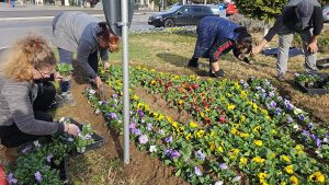 Read more about the article SPIGM Deva – Orașul nostru prinde viață odată cu primăvara! 