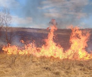 Read more about the article Vața de Jos – apel la responsabilitate pentru prevenirea incendiilor de vegetație