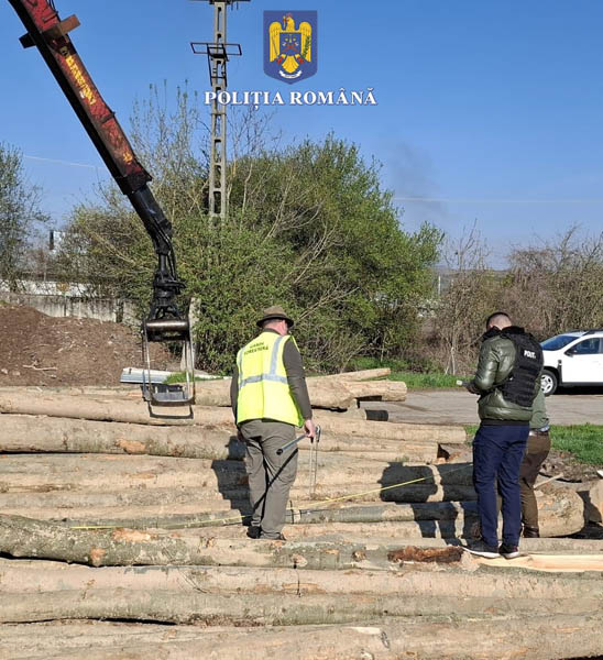 Read more about the article Sancțiuni de aproape 50.000 de lei și lemn confiscat în valoare de peste 5.600 de lei