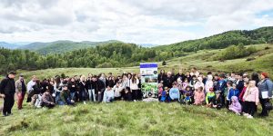 Read more about the article Festivalul Narciselor de la Negrileasa (Alba), promovat în cadrul unui proiect internațional