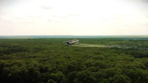 Read more about the article Romsilva a efectuat lucrări de combatere a omizilor defoliatoare pe o suprafață de peste 7.000 mii de hectare