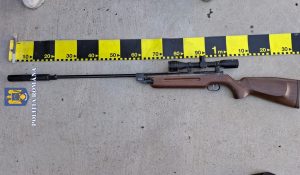 Read more about the article Un bărbat de 58 de ani din Vulcan, reținut după ce a împușcat un porumbel voiajor