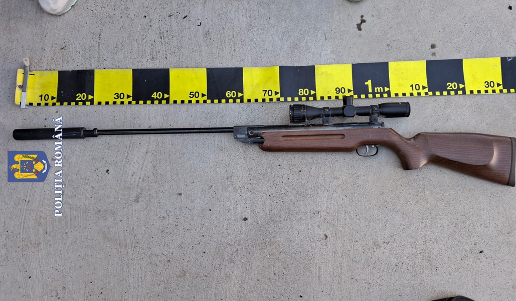 Read more about the article Un bărbat de 58 de ani din Vulcan, reținut după ce a împușcat un porumbel voiajor