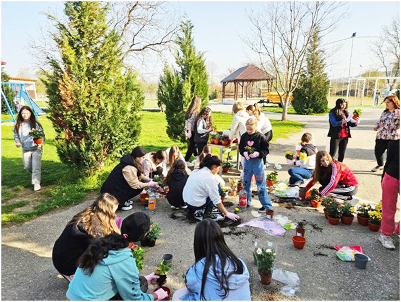 Read more about the article Sădește o plantă și te vei bucura de fapta ta