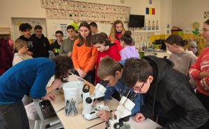 Read more about the article Pe Valea Streiului, Zâna Viață înfruntă Monstrul de Plastic cu ajutorul comunităților locale