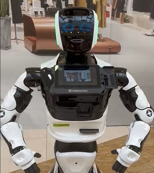 Read more about the article Liga AC și UPT invită timișorenii în lumea roboților