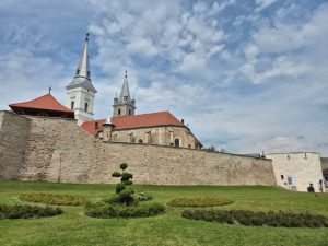 Read more about the article Cetatea Orăștiei, un vis devenit realitate pentru comunitatea locală