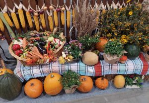 Read more about the article Județul Arad este promovat la Budapesta!