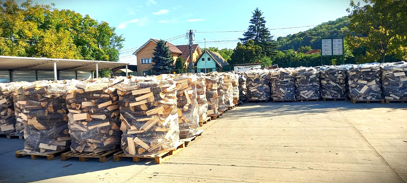 Read more about the article Romsilva oferă populației, în acest an, aproximativ 2 milioane de metri cubi de lemn pentru foc