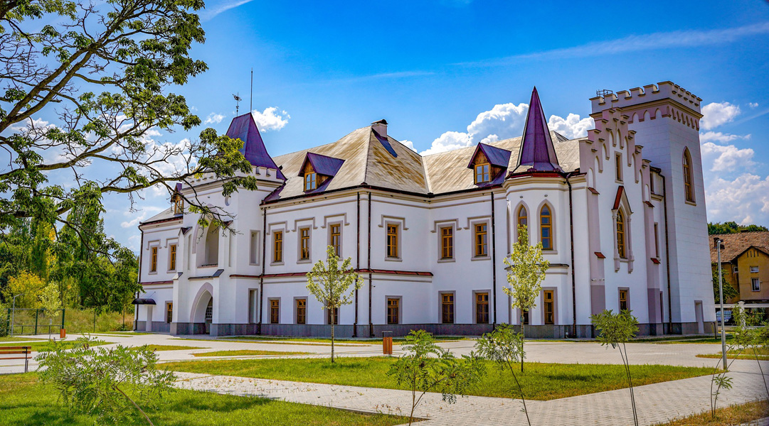 Read more about the article MCDR, reprezentat la Sesiunea anuală de comunicări științifice de la Baia Mare – Franz Nopcsa și patrimoniul transilvănean în prim-plan