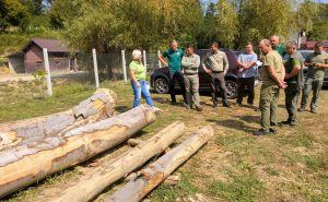 Read more about the article Cel Mai Bun Pădurar la Romsilva – Direcţia Silvică Hunedoara