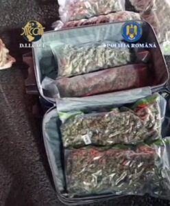 Read more about the article Două persoane, cercetate pentru trafic şi introducerea în ţară de droguri de risc