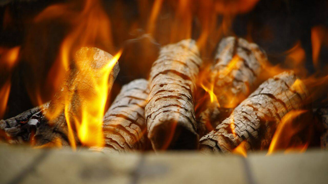 Read more about the article DAS Deva: Material lemnos pentru foc, acordat gratuit. Cine și în ce condiții poate beneficia de acest sprijin