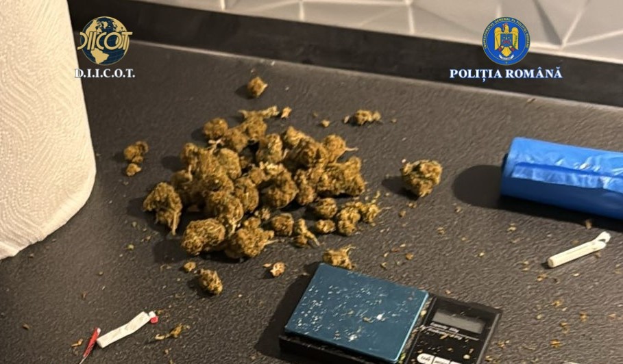 Read more about the article PERCHEZIȚII, ÎNTR-UN DOSAR, PRIVIND TRAFICUL DE DROGURI