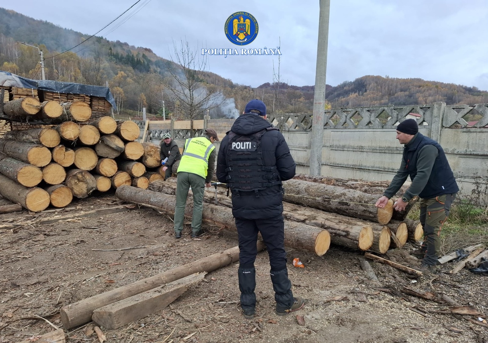 Read more about the article Acțiuni pentru combaterea ilegalităților din domeniul silvic în județul Hunedoara: sancțiuni și confiscări de material lemnos