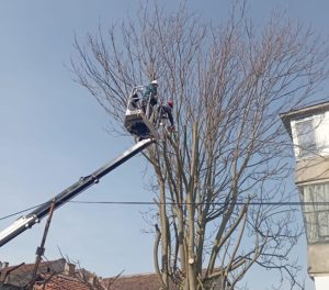 Read more about the article Lucrări de toaletare și tăiere de corecție a arborilor pe Bulevardul Mihail Kogălniceanu din Deva