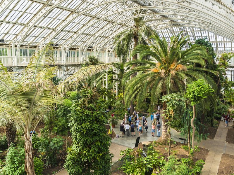 Read more about the article Asociația Grădinii Botanice Timișoara – un pas important pentru dezvoltarea unui proiect verde, inovator și autosustenabil în orașul nostru