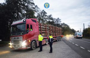 Read more about the article Un bărbat din Lăpugiu de Jos a primit dublă sancţiune: pentru conducere fără permis şi transport ilegal de material lemnos