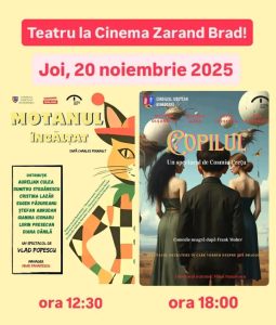 Read more about the article Două spectacole de teatru la Cinema Zarand Brad, pe 20 noiembrie – Povești pentru toate vârstele aduse de Teatrul de Artă Deva