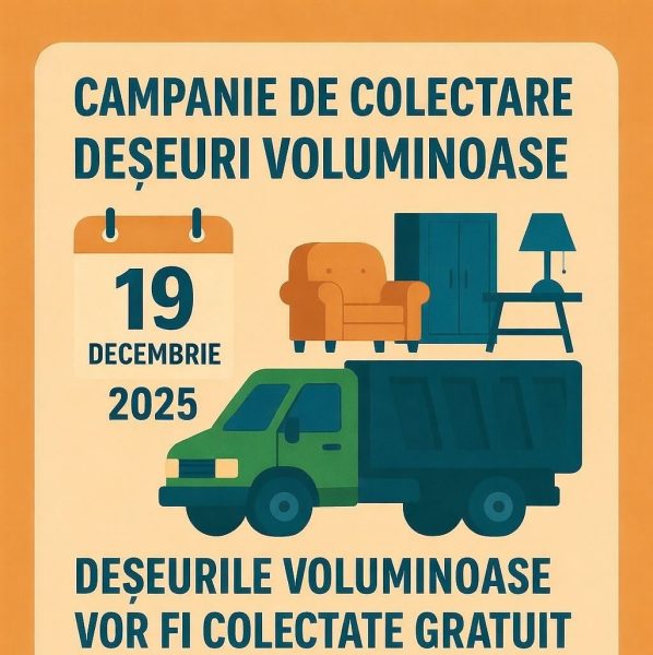Read more about the article Colectare gratuită a deșeurilor voluminoase în Deva, vineri, 19 decembrie 2025