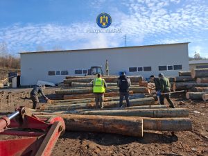 Read more about the article Sancțiuni în valoare de 47.000 de lei, în urma unor controale în domeniul silvic