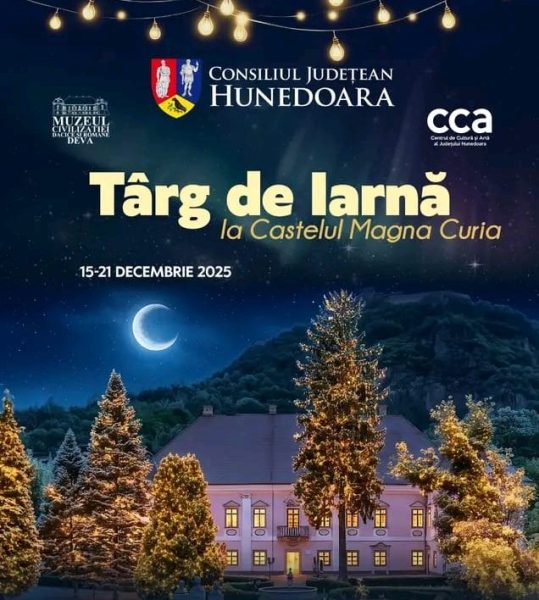 Read more about the article Târgul de Iarnă transformă Magna Curia în poveste