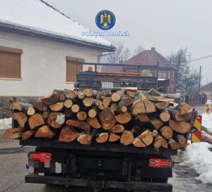 Read more about the article Transport ilegal de material lemnos, depistat la Crișcior