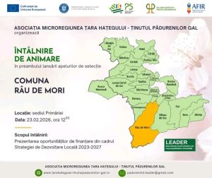 Read more about the article GAL Țara Hațegului–Ținutul Pădurenilor lansează o nouă serie de întâlniri de animare în teritoriu